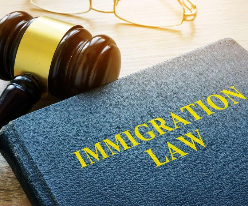 Immigration Court Lawyer
