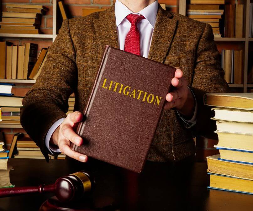 Immigration Litigation Lawyer